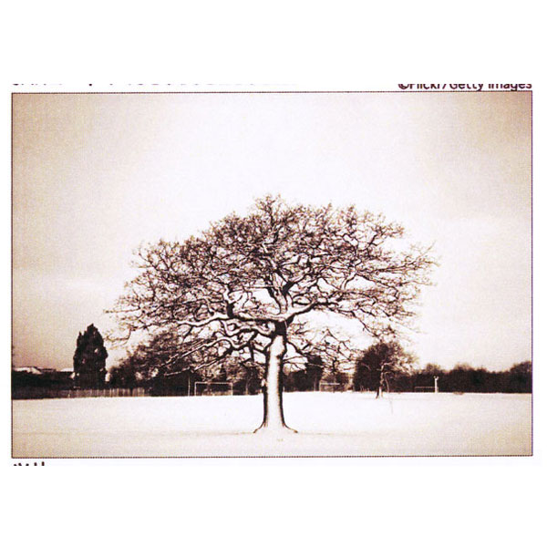 アートパネル　ツリー