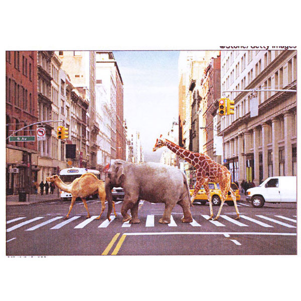 アートパネル　横断歩道