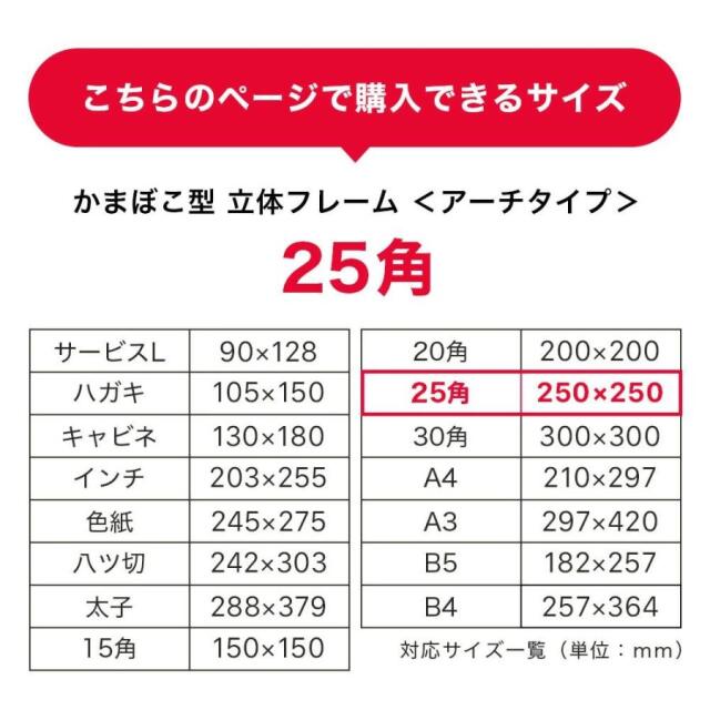 ボックスフレーム　アーチタイプ２５角