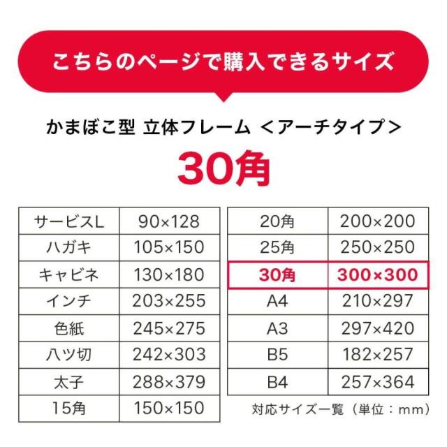 ボックスフレーム　アーチタイプ３０角