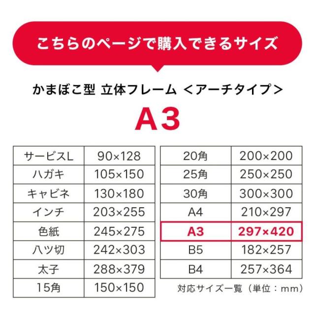 ボックスフレーム　アーチタイプA3