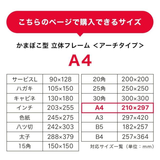 ボックスフレーム　アーチタイプA4