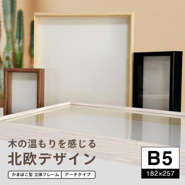ボックスフレーム　アーチタイプB5