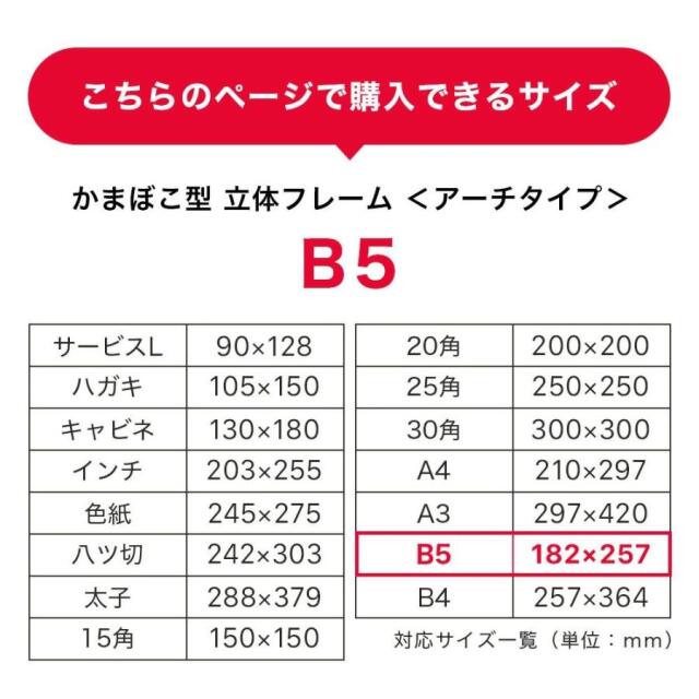 ボックスフレーム　アーチタイプB5