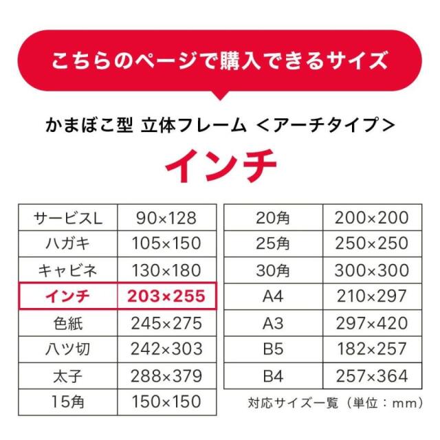 ボックスフレーム　アーチタイプインチ