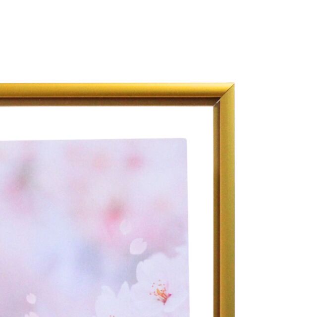 クリアアルミフレーム