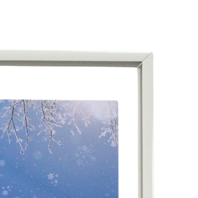 クリアアルミフレーム