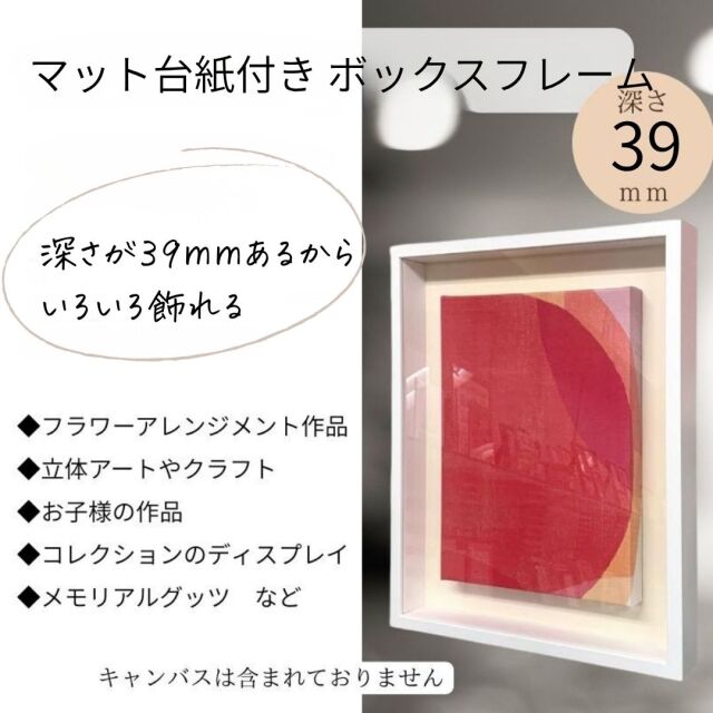 ボックスフレーム＜50>CV立体額