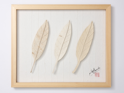 Art　Works　アグラオネマ白づくし