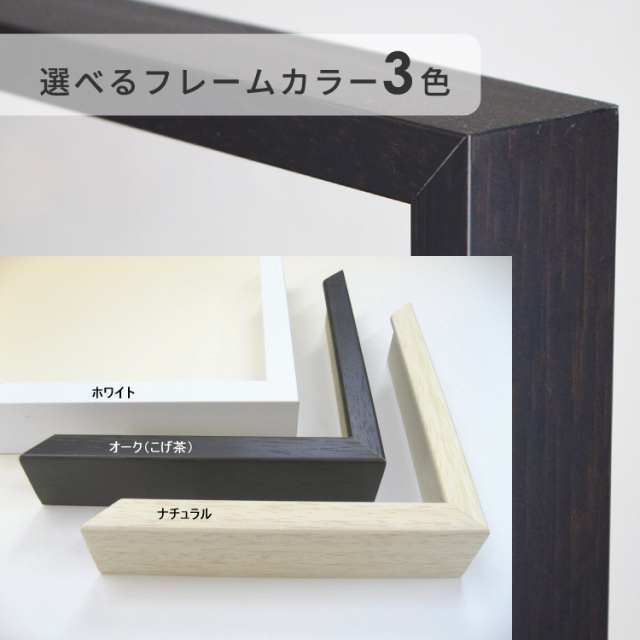 立体から平面作品まであなたのアートをひきたてる クリアボックス