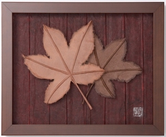 Art　Works　マロニエ　柿渋染め