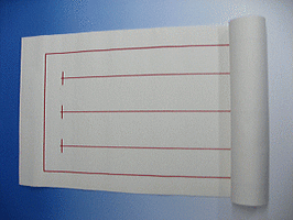 半切版下敷き　白2ｍｍ（45×150）3行用名無罫線入