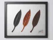 Art　Works　アグラオネマURUSHI