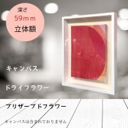 額縁 立体額 ボックスフレーム 高さ70ｍｍ 深さ59ｍｍ キャンバス 10号   ボックスフレーム  絵画 ウェルカムボード／額縁／ポスターパネル/ウェルカムボード　額縁／ブライダル フレーム／ウェルカム用額　立体額／ウェルカムボード　手作り／シャドーボックス