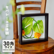 ボックスフレームセパレート