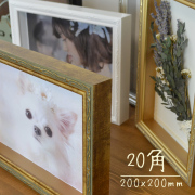 FFボックスフレーム２０角