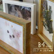 FFボックスフレームB4