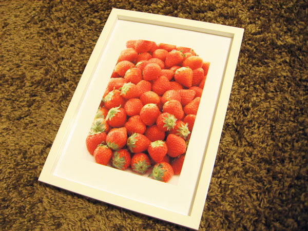 RF-Bフレーム　＜大衣＞ 394×509