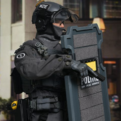 【EASY&SIMPLE】26058RA Dutch Dienst Speciale Interventies Roit Shield Version
