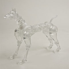 【オビツ】OBITSU BODY The DOG TYPE A クリア