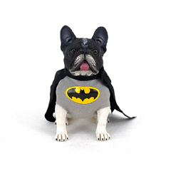 【PENGUIN GOODS】CD#001 Cosplay Dog Batman コスプレドッグ バットマン