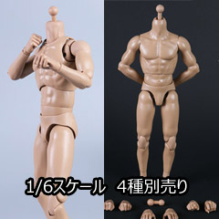 【COO】MB001/MB002/MB003/MB004 NEW TYPE MALE BODY STANDARD & TALL 1/6スケール 男性ボディ素体