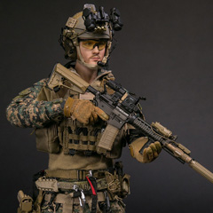 【DAM】No.78089 1/6 31st Marine Expeditionary Unit Force Reconnaissance Platoon(Woodland MARPAT VER)