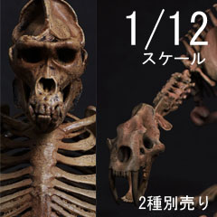 【101TOYS】ES003A/ES004A 1/12 GORILLA/TOOTHED TIGER Skeleton FRAME BODY -Original color version