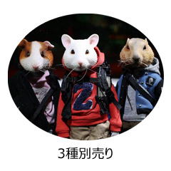 Mr Z 7 Pocket Zootopia Collection Series No 4 Pzcs009 011 ポケットズートピア シリーズ4 各種 ラット モルモット マーモット 宇宙船 Mr Z 7 Pocket Zootopia Collection Series No 4 Pzcs009 011 ポケットズートピア シリーズ4 各種 ラット モルモット マーモット 宇宙船