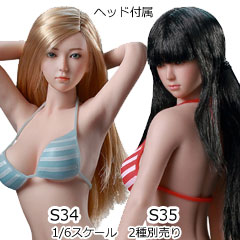 【TBLeague】PHMB2019-S34 (pale) S35 (suntan) TBリーグ 1/6スケール シームレス女性ボディ （女性ヘッド&スタンド付属）