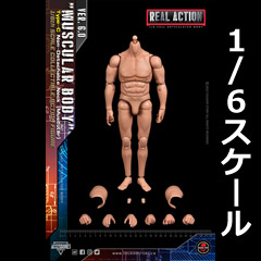 【Soldier Story】SSA-003 1/6 MUSCULAR BODY Type-C 汎用男性素体 マスキュラータイプ 1/6スケール 男性ボディ素体