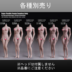 【TBLeague】S18A S19B S20A S21B S22A S23B TBリーグ 1/6スケール シームレス女性ボディ （ヘッドなし）