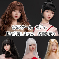 【i8TOYS】i8-H005 A B C D E ZOE 失学園 純 眼球可動 1/6スケール 植毛 女性ヘッド