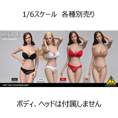 【FLIRTY GIRL】FGC2020-9 -10 -11 -12 1:6 Strapless Bra and Panty set - Female clothing sets
