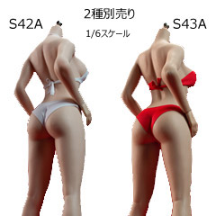 【TBLeague】Seamless Bodies PLLB2020-S42A (pale) S43A (suntan) TBリーグ 1/6スケール シームレス女性ボディ （ヘッドなし）