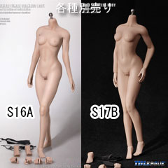 【TBLeague】PLMB2016-S16A S17B ファイセン 1/6スケール シームレス女性ボディ アジア（ヘッドなし）