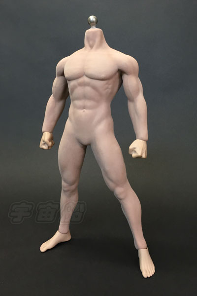 TBleague 1/6 素体　ボディ　男性　マスキュラー　マッスル　シームレス TBleague 1/6 素体 ボディ 男性 マスキュラー マッスル シームレス