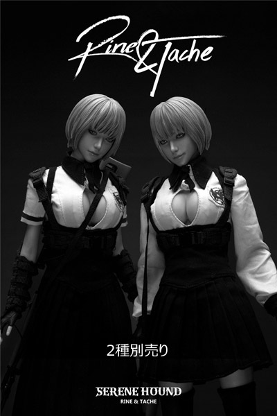 i8TOYS】1/6 NO.501S612-S 