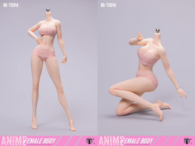 ◆1/6サイズ シームレス 女性素体フィギュア/ドール 86TOYS】86-TS01-A 1/6 Anime Female Body アニメ スレンダー体型 1/6