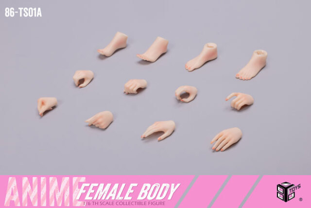 86TOYS】86-TS01-A 1/6 Anime Female Body アニメ スレンダー体型 1/6