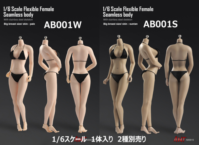 ANT】AB001W / AB001S 1/6 Flexible Female Seamless Body Big