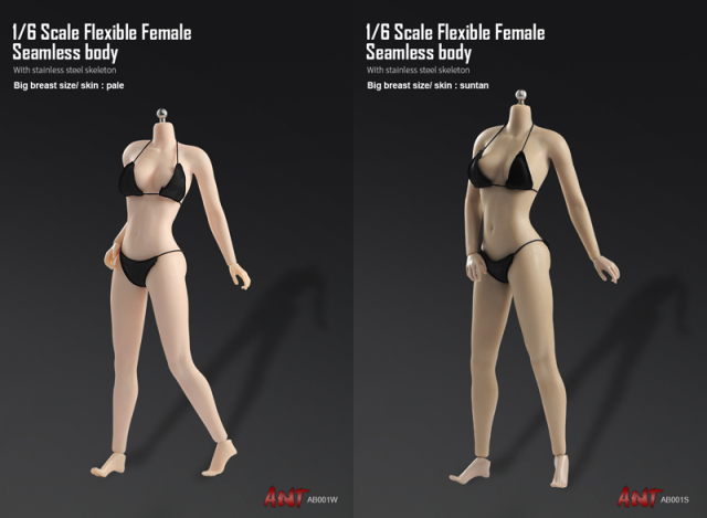 ANT】AB001W / AB001S 1/6 Flexible Female Seamless Body Big Breast