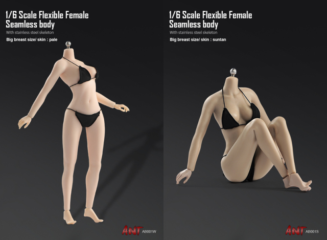 ANT】AB001W / AB001S 1/6 Flexible Female Seamless Body Big