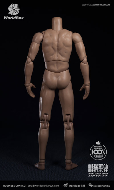 WorldBox】AT-020 1/6 Durable Body 汎用男性素体 1/6スケール 男性