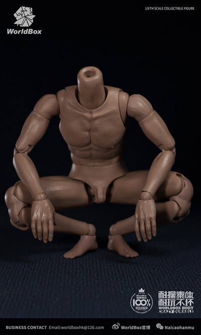 WorldBox】AT-020 1/6 Durable Body 汎用男性素体 1/6スケール