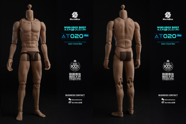 WorldBox】AT020Pro 1/6 Upgrade universal body 汎用男性素体 細身