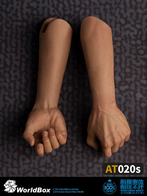 大学生 割引 WorldBox】AT020S 1/6 one-piece forearm of the body 汎用男性 アメコミ