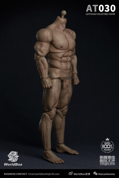 【1/6】ちょいポチャ子さん リアルタイプ 素体 1/6(260mm) Amazon.co.jp: HiPlay worldbox 1/6 女性 素体 ボディ 超可動
