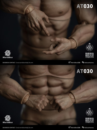 WorldBox】AT030 1/6 Durable Body 大柄 汎用男性素体 1/6スケール
