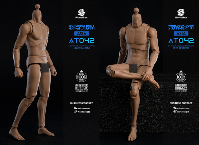 WorldBox】AT042 1/6 Durable Body アジア系 1/6スケール 男性ボディ素